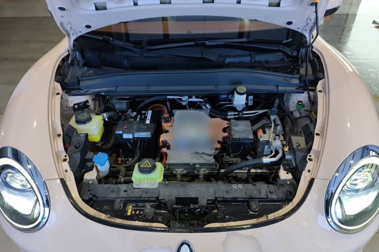 Used ORA Good Cat 2023 401 km Standard Range Premium Version Lithium Iron Phosphate Engine Bay