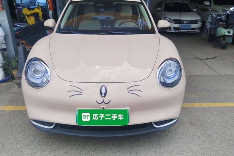 Used ORA Good Cat 2023 401 km Standard Range Luxury Version Lithium Iron Phosphate Exterior 1