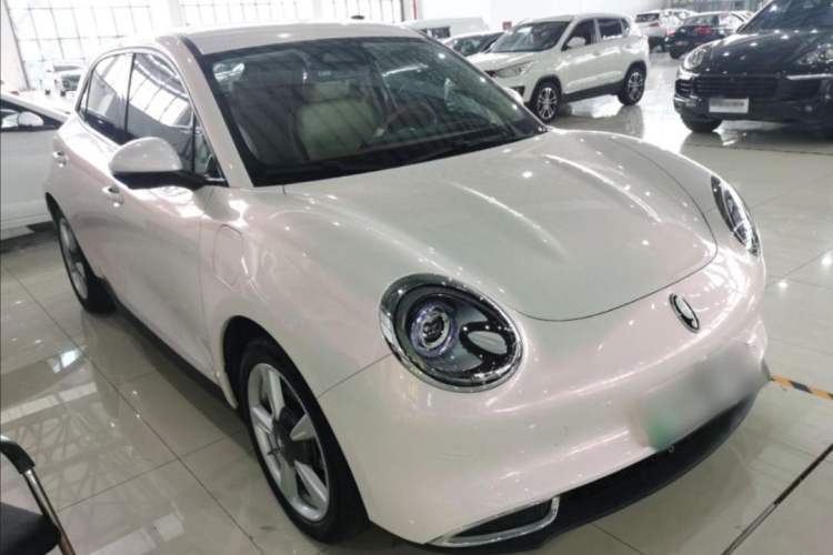 Used ORA Good Cat 2023 401 km Standard Range Luxury Version Lithium Iron Phosphate Exterior 2