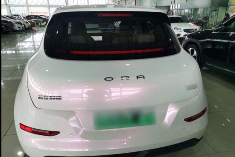 Used ORA Good Cat 2023 401 km Standard Range Luxury Version Lithium Iron Phosphate Exterior 4