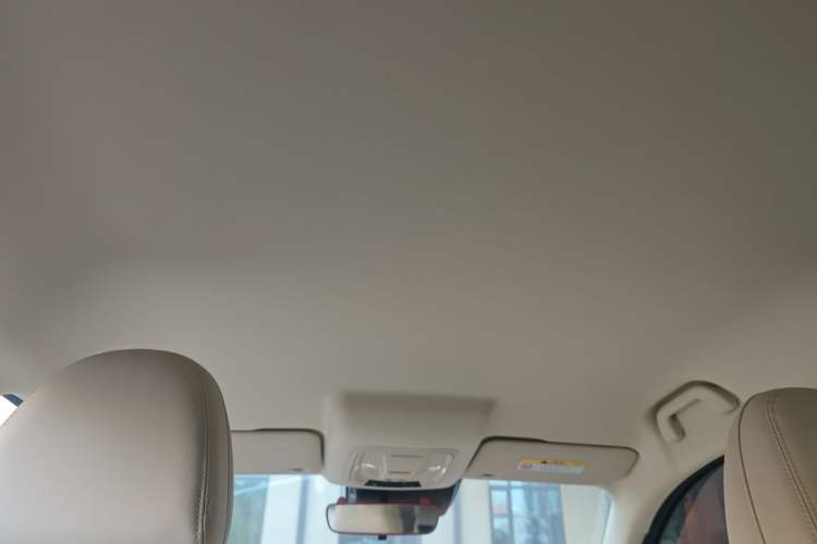 Used ORA Good Cat 2023 401 km Standard Range Luxury Version Lithium Iron Phosphate Headliner