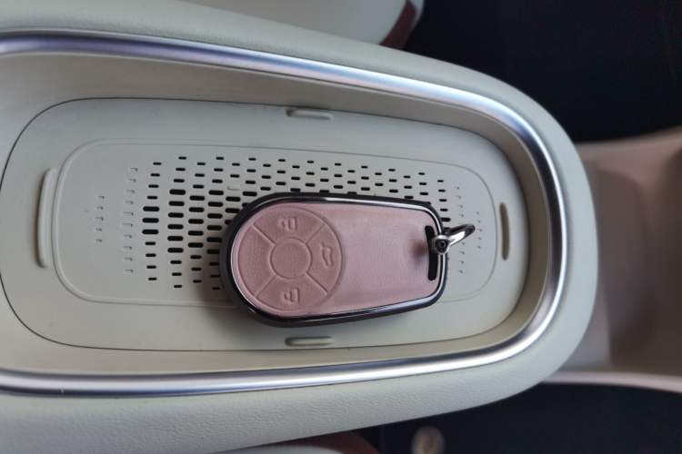 Used ORA Good Cat 2023 401 km Standard Range Luxury Version Lithium Iron Phosphate Interior 1