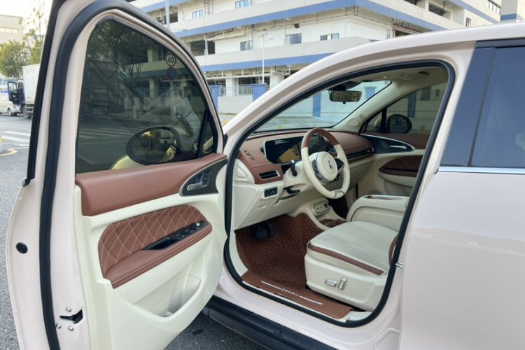 Used ORA Good Cat 2023 401 km Standard Range Luxury Version Lithium Iron Phosphate Interior 2