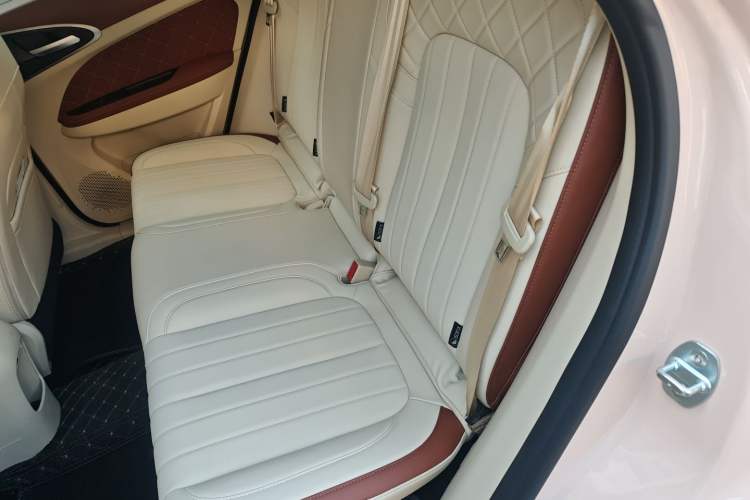 Used ORA Good Cat 2023 401 km Standard Range Luxury Version Lithium Iron Phosphate Left Rear Seat