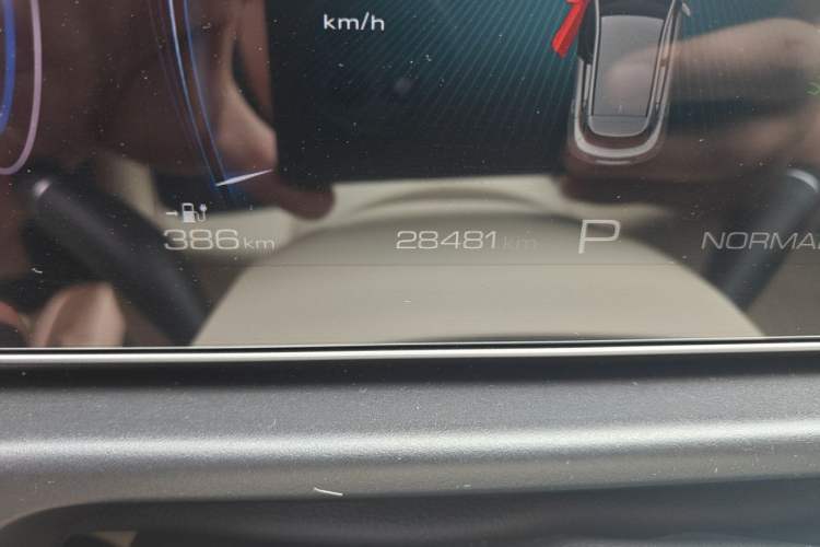 Used ORA Good Cat 2023 401 km Standard Range Premium Version Lithium Iron Phosphate Odometer Close Up