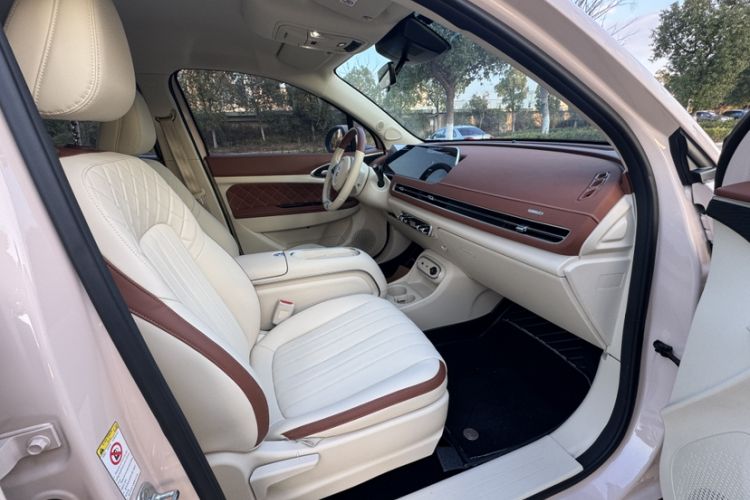 Used ORA Good Cat 2023 401 km Standard Range Luxury Version Lithium Iron Phosphate Right Front Seat
