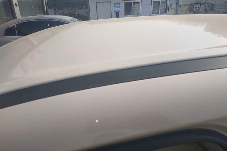 Used ORA Good Cat 2023 401 km Standard Range Luxury Version Lithium Iron Phosphate Roof