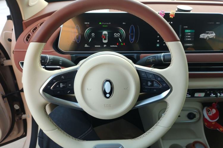 Used ORA Good Cat 2023 401 km Standard Range Luxury Version Lithium Iron Phosphate Steering Wheel