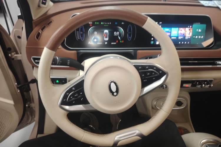 Used ORA Good Cat 2023 401 km Standard Range Prestige Version Lithium Iron Phosphate Steering Wheel