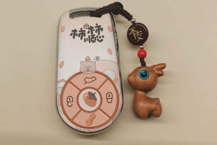 Used ORA Good Cat 2023 401 km Standard Range Premium Version Lithium Iron Phosphate Vehicle Key