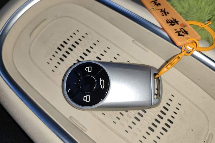 Used ORA Good Cat 2023 401 km Standard Range Premium Version Lithium Iron Phosphate Vehicle Key