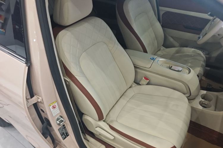Used ORA Good Cat 2023 401 km Standard Range Luxury Version Lithium Iron Phosphate Right Front Seat