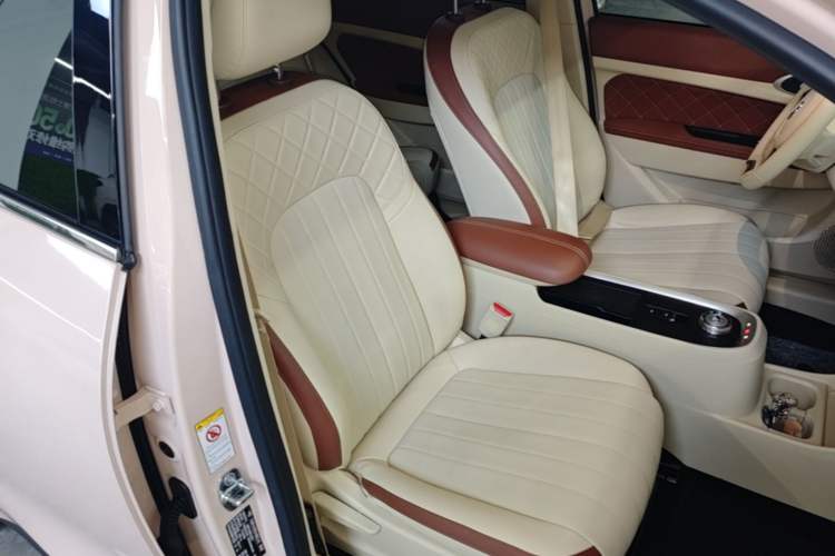 Used ORA Good Cat 2023 401 km Standard Range Luxury Version Lithium Iron Phosphate Right Front Seat