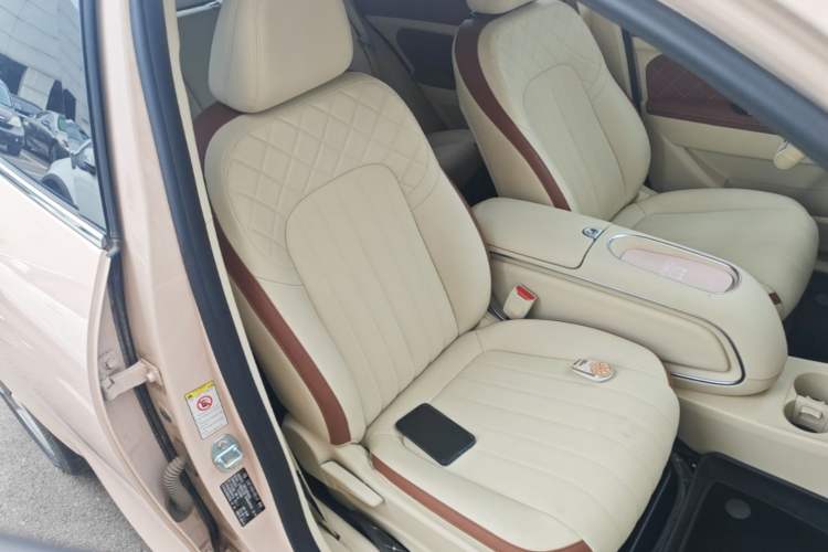 Used ORA Good Cat 2023 401 km Standard Range Luxury Version Lithium Iron Phosphate Right Front Seat