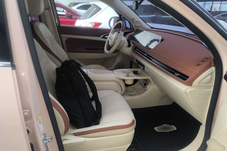 Used ORA Good Cat 2023 401 km Standard Range Luxury Version Lithium Iron Phosphate Right Front Seat