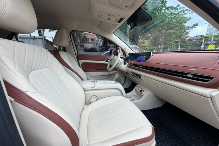 Used ORA Good Cat 2023 401 km Standard Range Luxury Version Ternary Lithium Right Front Seat