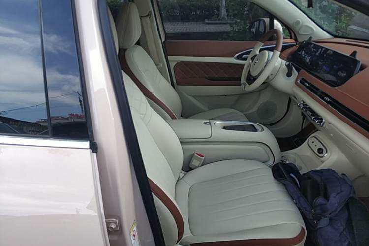 Used ORA Good Cat 2023 401 km Standard Range Luxury Version Lithium Iron Phosphate Right Front Seat