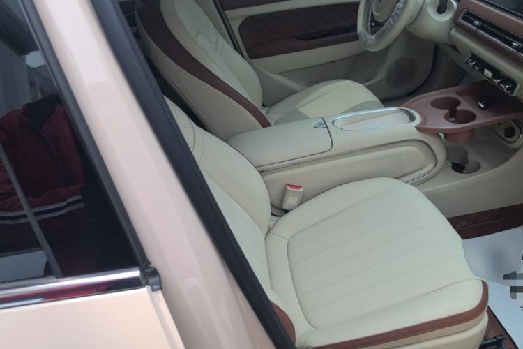 Used ORA Good Cat 2023 401 km Standard Range Luxury Version Lithium Iron Phosphate Right Front Seat