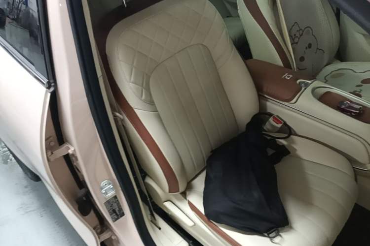 Used ORA Good Cat 2023 401 km Standard Range Luxury Version Lithium Iron Phosphate Right Front Seat