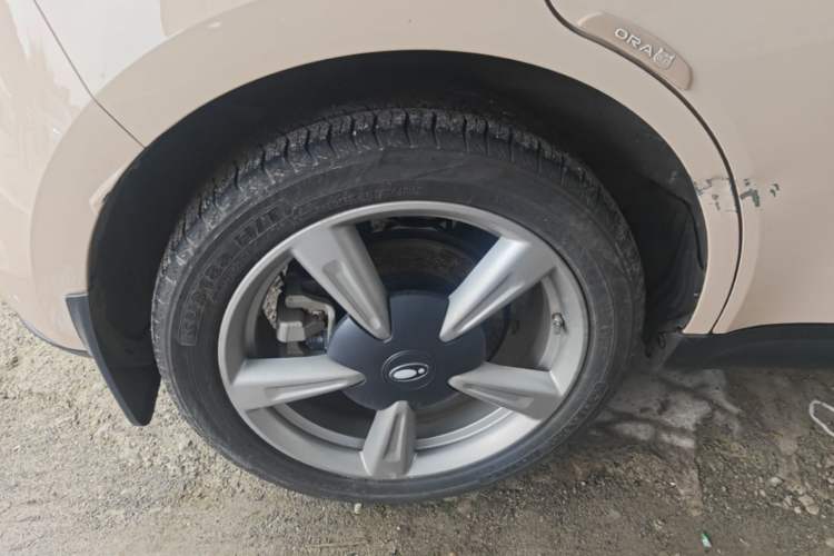 Used ORA Good Cat 2023 401 km Standard Range Prestige Version Lithium Iron Phosphate Right Rear Wheel Hub