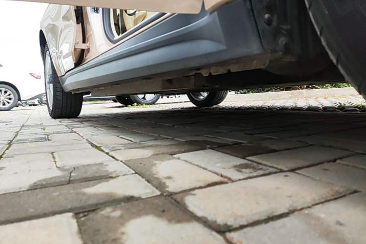 Used ORA Good Cat 2023 401 km Standard Range Luxury Version Lithium Iron Phosphate Right Side Sill