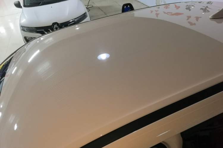 Used ORA Good Cat 2023 401 km Standard Range Luxury Version Lithium Iron Phosphate Roof