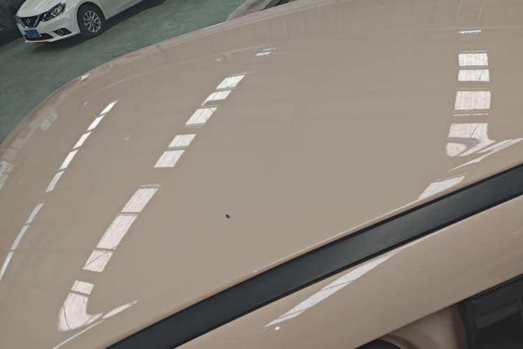 Used ORA Good Cat 2023 401 km Standard Range Luxury Version Ternary Lithium Roof