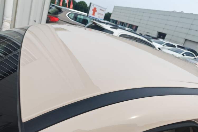 Used ORA Good Cat 2023 401 km Standard Range Luxury Version Lithium Iron Phosphate Roof