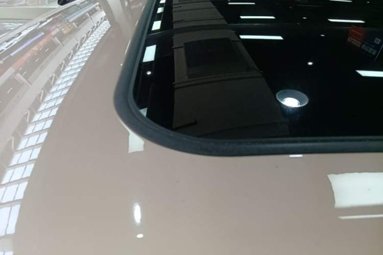 Used ORA Good Cat 2023 401 km Standard Range Prestige Version Lithium Iron Phosphate Roof