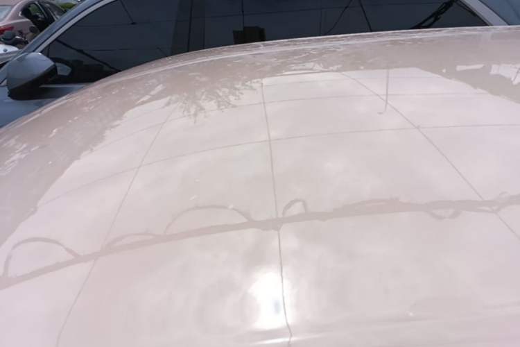 Used ORA Good Cat 2023 401 km Standard Range Comfort Version Lithium Iron Phosphate Roof