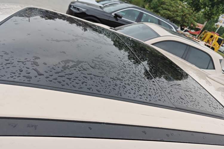 Used ORA Good Cat 2023 401 km Standard Range Premium Version Lithium Iron Phosphate Roof