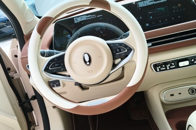 Used ORA Good Cat 2023 401 km Standard Range Luxury Version Lithium Iron Phosphate Steering Wheel