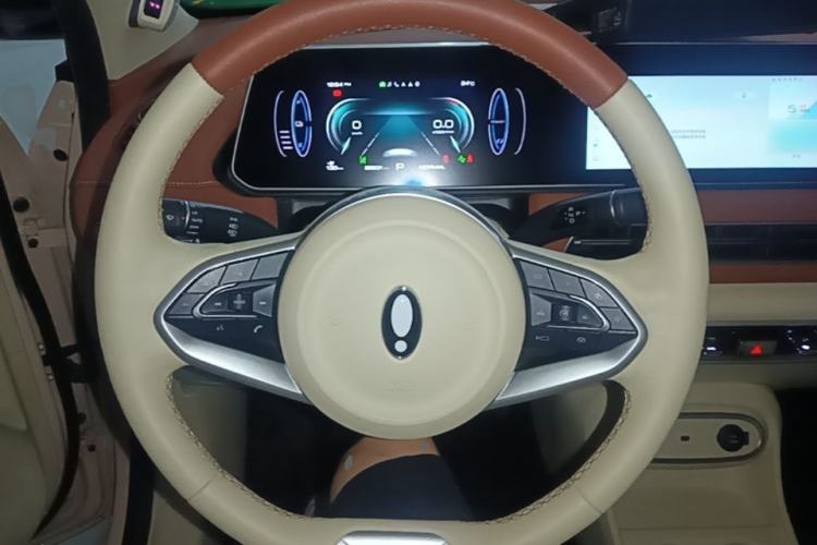Used ORA Good Cat 2023 401 km Standard Range Prestige Version Lithium Iron Phosphate Steering Wheel