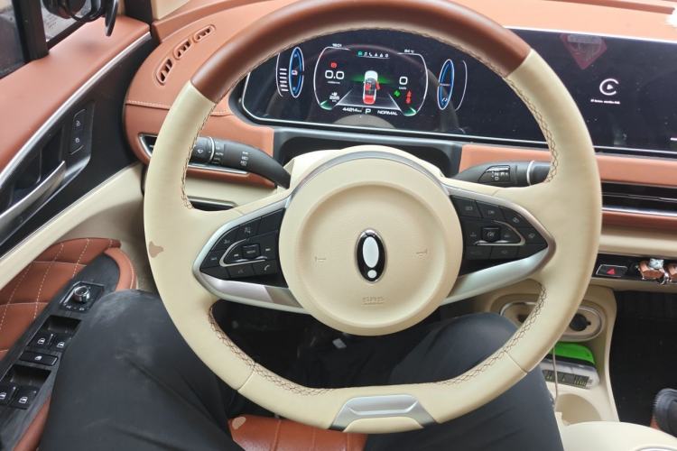 Used ORA Good Cat 2023 401 km Standard Range Prestige Version Lithium Iron Phosphate Steering Wheel