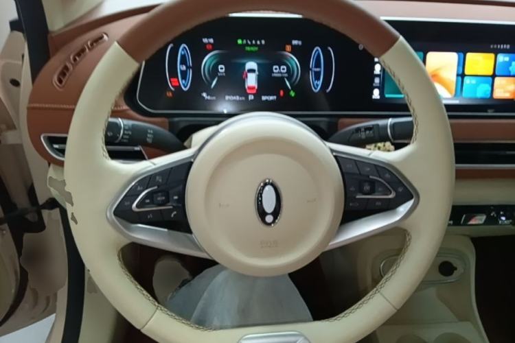 Used ORA Good Cat 2023 401 km Standard Range Prestige Version Lithium Iron Phosphate Steering Wheel