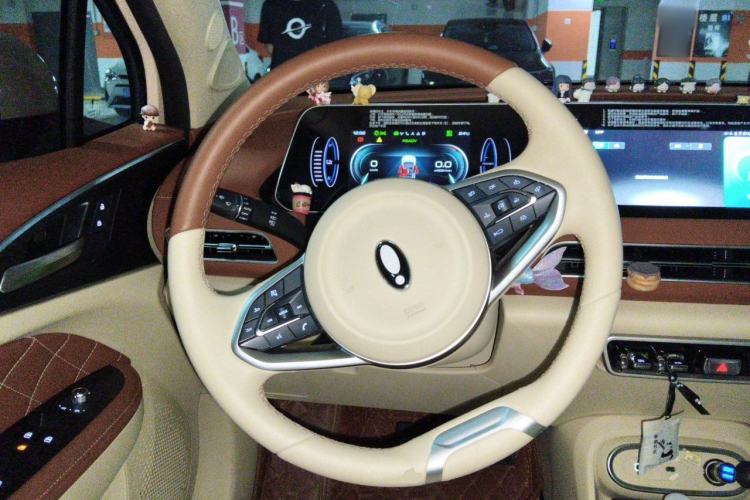 Used ORA Good Cat 2023 401 km Standard Range Luxury Version Lithium Iron Phosphate Steering Wheel