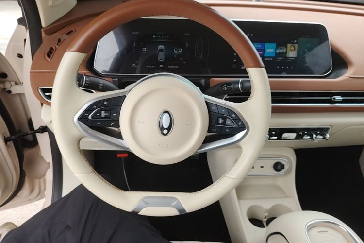 Used ORA Good Cat 2023 401 km Standard Range Luxury Version Lithium Iron Phosphate Steering Wheel