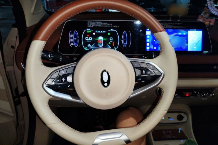 Used ORA Good Cat 2023 401 km Standard Range Luxury Version Lithium Iron Phosphate Steering Wheel