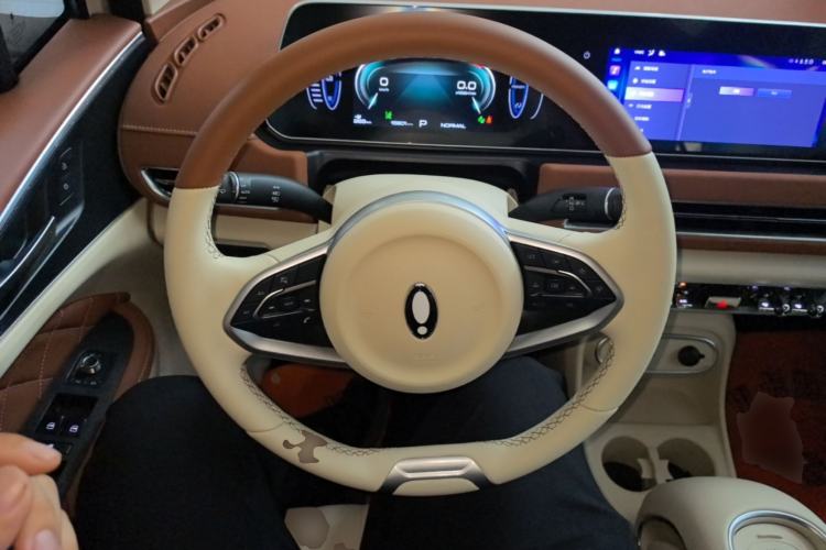 Used ORA Good Cat 2023 401 km Standard Range Luxury Version Lithium Iron Phosphate Steering Wheel