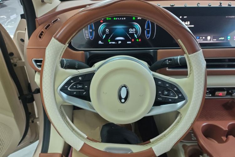 Used ORA Good Cat 2023 401 km Standard Range Prestige Version Lithium Iron Phosphate Steering Wheel