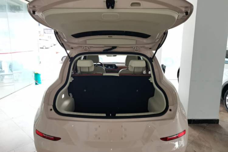 Used ORA Good Cat 2023 401 km Standard Range Luxury Version Ternary Lithium Trunk