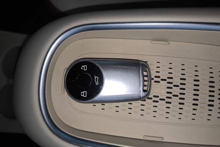 Used ORA Good Cat 2023 401 km Standard Range Luxury Version Lithium Iron Phosphate Vehicle Key