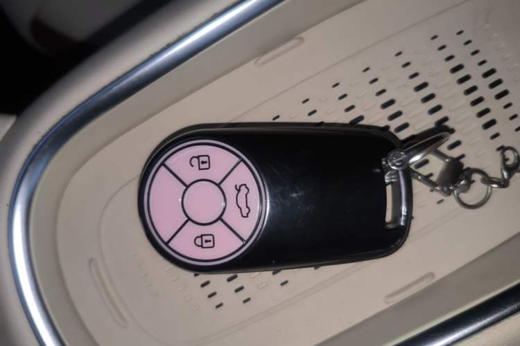 Used ORA Good Cat 2023 401 km Standard Range Luxury Version Lithium Iron Phosphate Vehicle Key