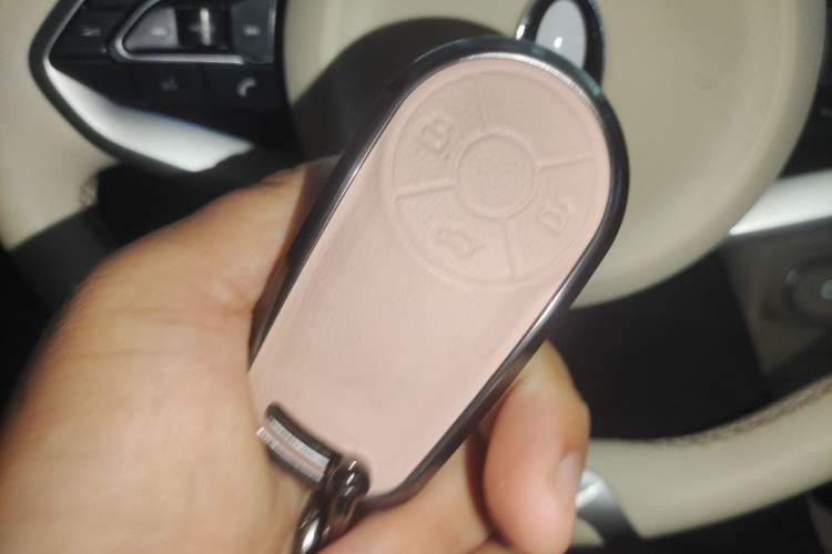 Used ORA Good Cat 2023 401 km Standard Range Premium Version Lithium Iron Phosphate Vehicle Key