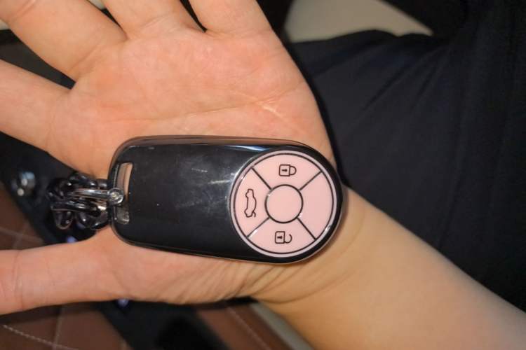 Used ORA Good Cat 2023 401 km Standard Range Luxury Version Lithium Iron Phosphate Vehicle Key