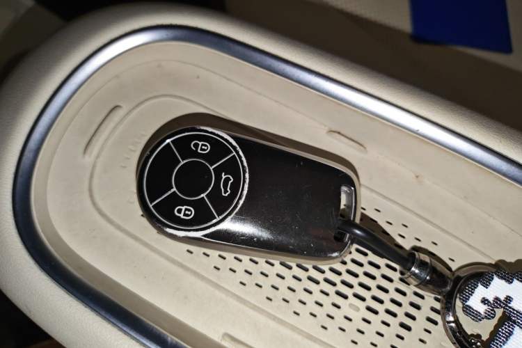 Used ORA Good Cat 2023 401 km Standard Range Premium Version Lithium Iron Phosphate Vehicle Key