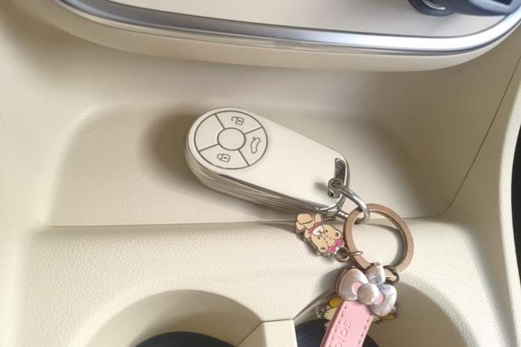 Used ORA Good Cat 2023 401 km Standard Range Premium Version Lithium Iron Phosphate Vehicle Key