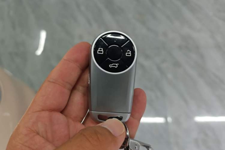 Used ORA Good Cat 2023 401 km Standard Range Prestige Version Lithium Iron Phosphate Vehicle Key