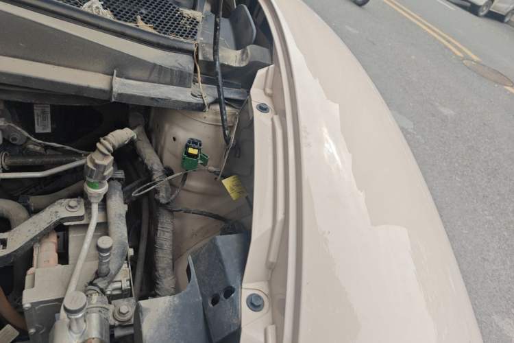 Used ORA Good Cat 2023 401 km Standard Range Luxury Version Lithium Iron Phosphate Engine Bay Left