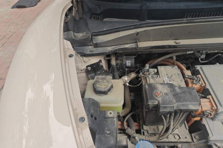 Used ORA Good Cat 2023 401 km Standard Range Luxury Version Lithium Iron Phosphate Engine Bay Right